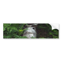 Life Renewed Bumper Sticker