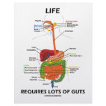 Life Requires Lots Of Guts (Digestive System) letterhead