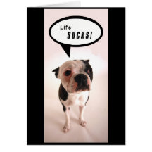 Life Sucks - Customized Greeting Cards