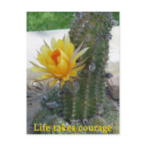 Life Takes Courage Postcards