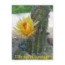 Life Takes Courage Postcards