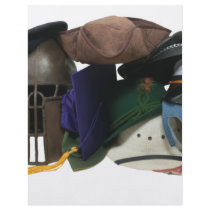 LifeManyHats061509