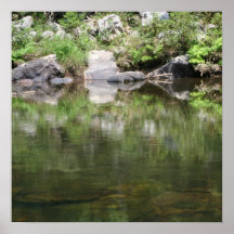 LIFE'S REFLECTIONS POSTER
