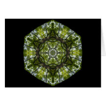 Light  And Pattern In The Leaves Greeting Cards