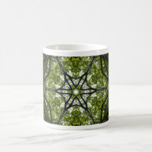 Light  And Pattern In The Leaves Mugs