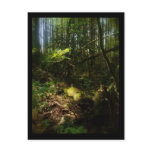 light and shadows postcards