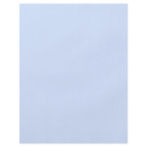 Light Baby Blue Full Color Flyer