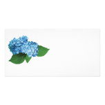 Light Blue Hydrangea Picture Card