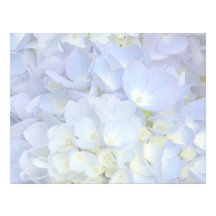 Light Blue Hydrangea Wedding Program Blank Paper Customized Letterhead