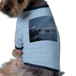Light House, Send forth thy Light! pet clothing
