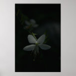 Light In A Dark World Poster