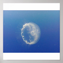 LIght Jelly Posters