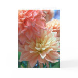 light orange dahlias 2 cards