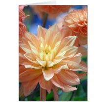 light peach dahlia greeting card