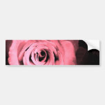 Light Pink - Red Rose Bumper Sticker
