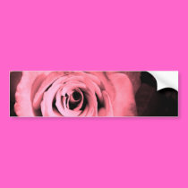 Light Pink - Red Rose bumper stickers