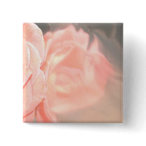 Light pink rose reflection in silver