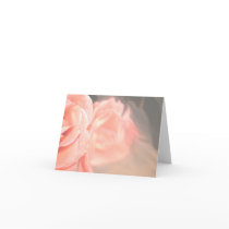 Light pink rose reflection in silver greeting cards