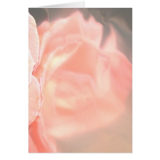Light pink rose reflection in silver cards