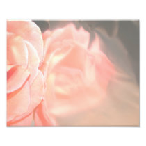 Light pink rose reflection in silver art photo