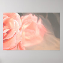 Light pink rose reflection in silver print