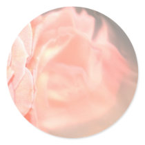 Light pink rose reflection in silver round sticker