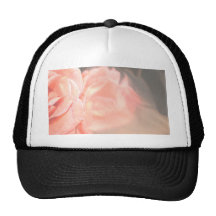 Light pink rose reflection in silver trucker hat