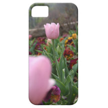 Light Pink Tulip iPhone 5 Cover