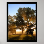 Light Rays 4 posters