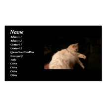 Light & Shadow Cat Business Card Template
