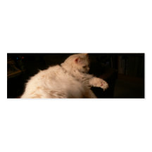 Light & Shadow Cat Business Card Templates