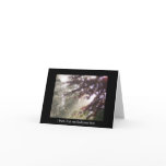 Light through plum tree sympathy card