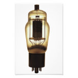 Lightbulb Art Photo