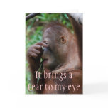 Lighthearted Female Humour About Aging cards