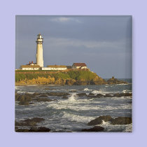 Lighthouse at Pigeon Point State Beach in San 2 magnets