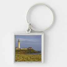 Lighthouse at Pigeon Point State Beach in San Key Chain