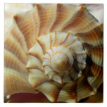 Lightning Whelk Square Ceramic Tile