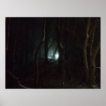 Lights in the Night Print