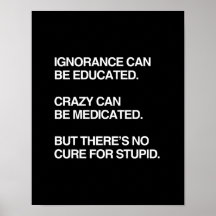 L'IGNORANCE PEUT ÊTRE INSTRUITE POSTERS