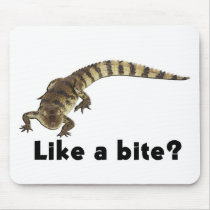 "like a bite?" alligator from junglewalk.com