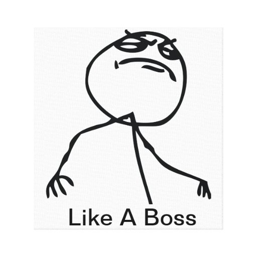 Like a Boss Canvas Prints