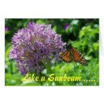 LIKE A SUNBEAM ..... - MONARCH GREETING CARD