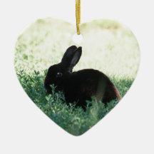 Lil Black Bunny Christmas Ornaments