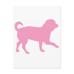 Lil' Chihuahua (pink) Post Card