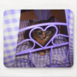Li'l Kitty 1 Mouse Pads