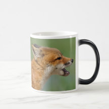 Lil  Red Tyke, Red Fox Little Face Morphing Mug