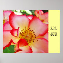 LIL SIS art prints gifts Red White Rose Flowers