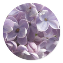 Lilac Blossoms sticker stickers