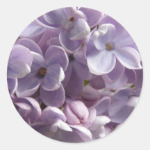Lilac Blossoms sticker
