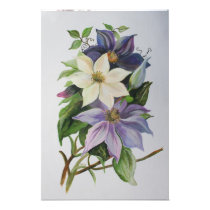 Lilac Clematis Photo Print
